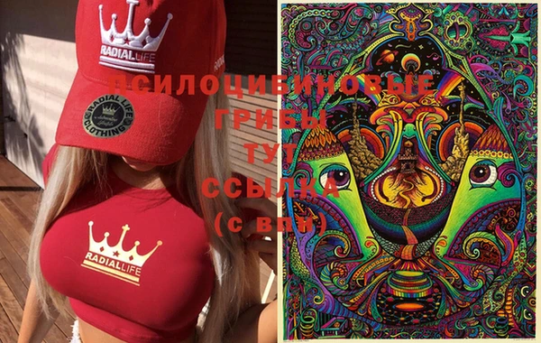 дурь Белокуриха