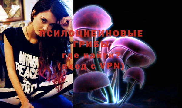 дурь Белокуриха