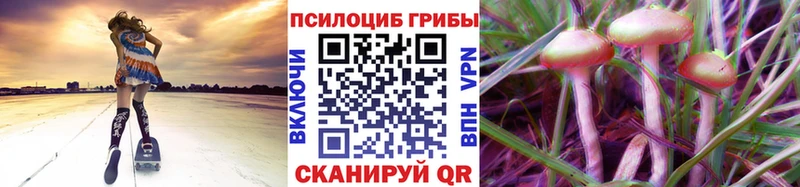 Купить закладки  Тайшет  Псилоцибиновые грибы ЛСД 